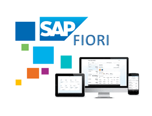 SAP Fiori Cache Cleanup