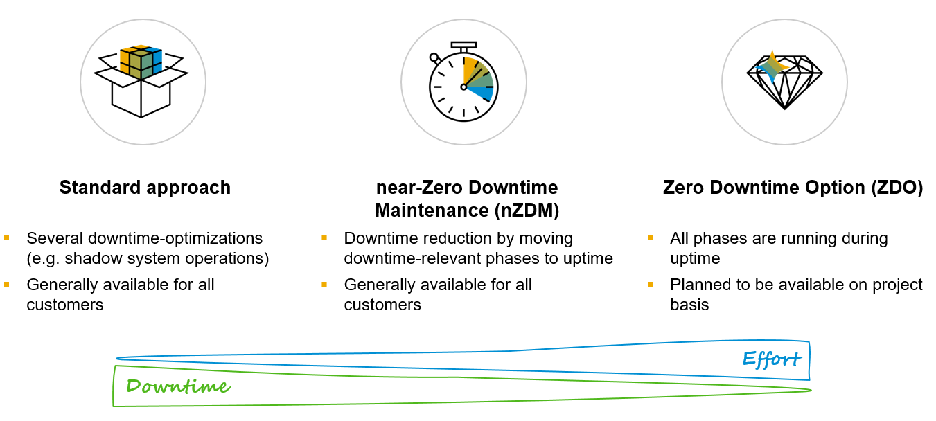 nzdm